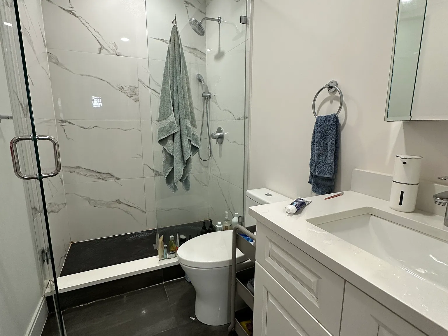 4 bed, 9999 sqft, $5,000 — Photo 3