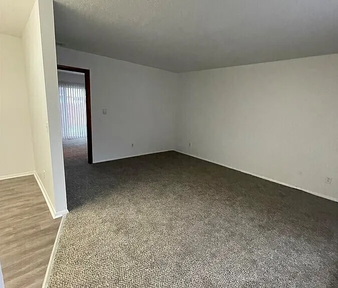 207 Van Nest St #3 — Photo 4