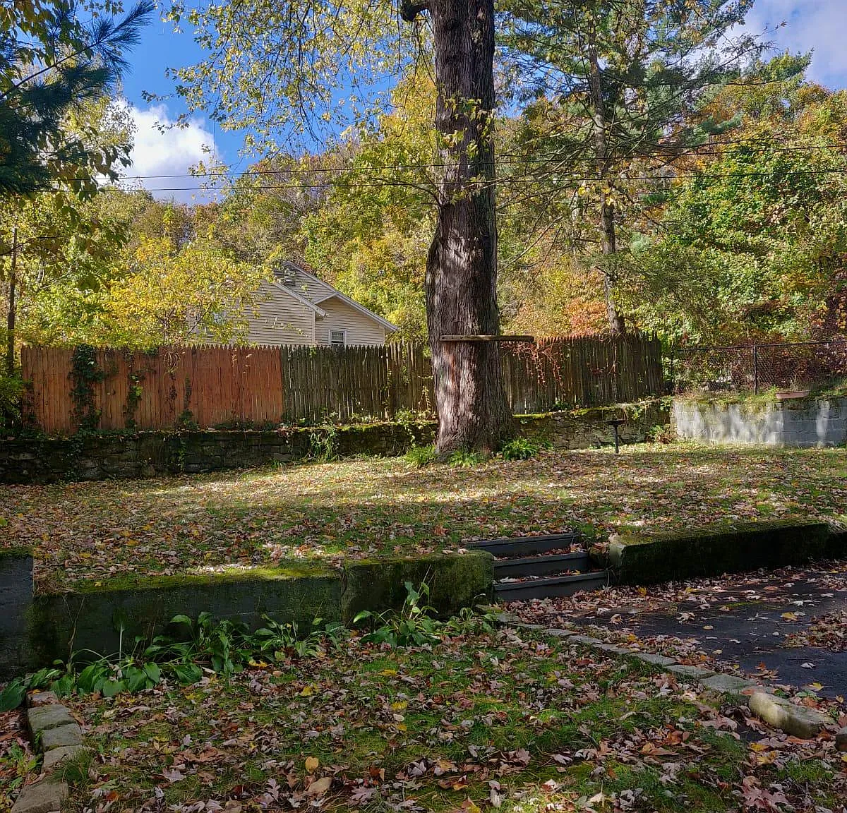 4 bed, 1309 sqft, $1,975 — Photo 3