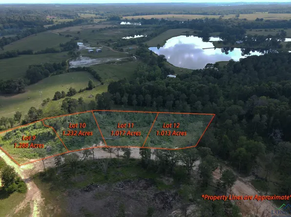 11 Southern Pnes, Hallsville, TX 75650