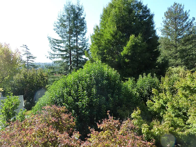 0 Oakdale Ave — Photo 21