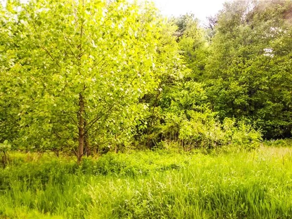 317 Orlando Ave, New Castle, PA 16105