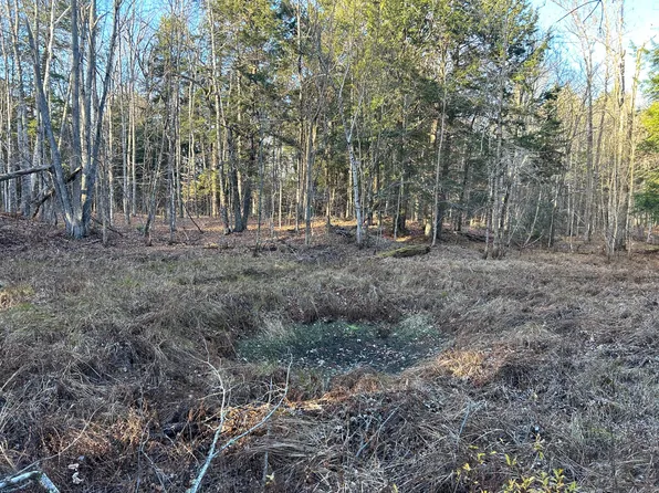 Lot 016-01 Albion Road, Unity, ME 04988