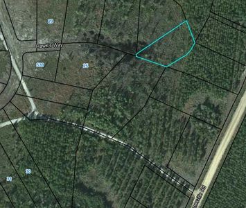 23 Hawks Way, Waynesville, GA, 31566