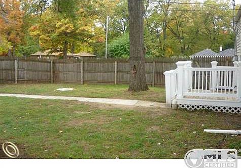 BACK YARD.jpg