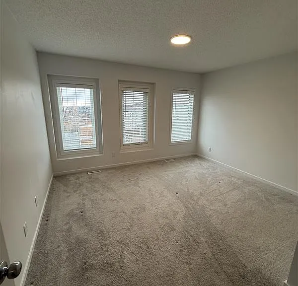 5243 21a Ave SW — Photo 15
