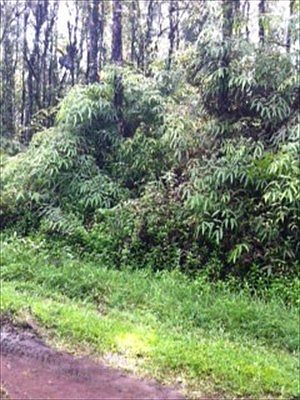 2nd image of Kahoolawe Rd Lot 677