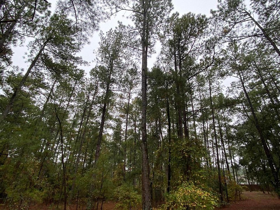 2nd image of Tbd Moore Avenue