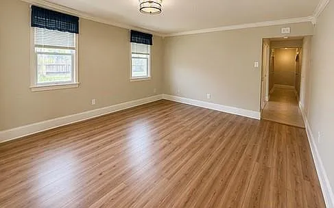 1 bed, 1.0 bath, 730 sqft, $1,300 — Photo 3