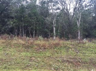 NE 140th Ave, Williston, FL 32696