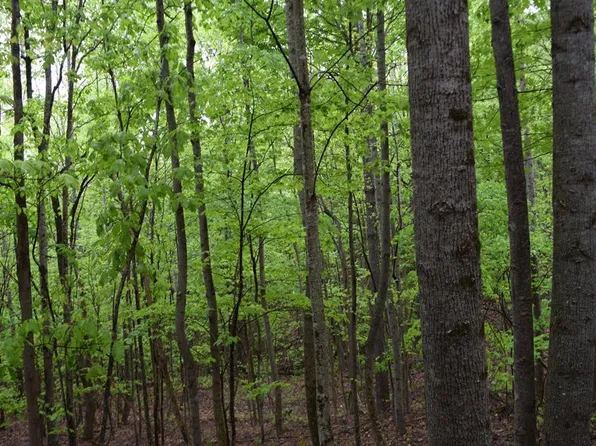 995 Whistle Valley Rd, New Tazewell, TN 37825