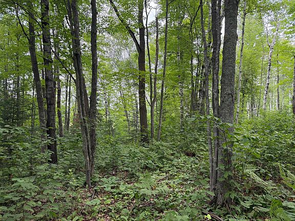 3rd image of Shady Pine Rd