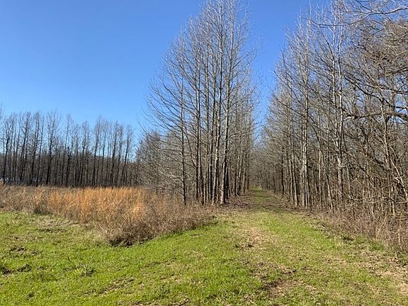 5th image of 0 French Fork Rd
