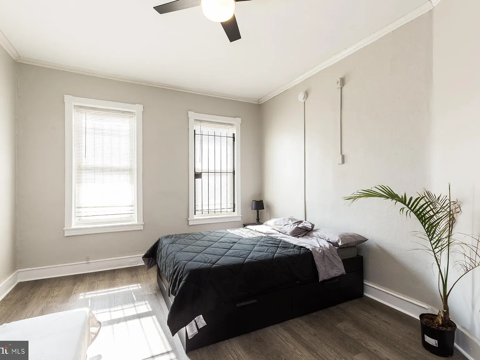 Studio, $995 — Photo 4