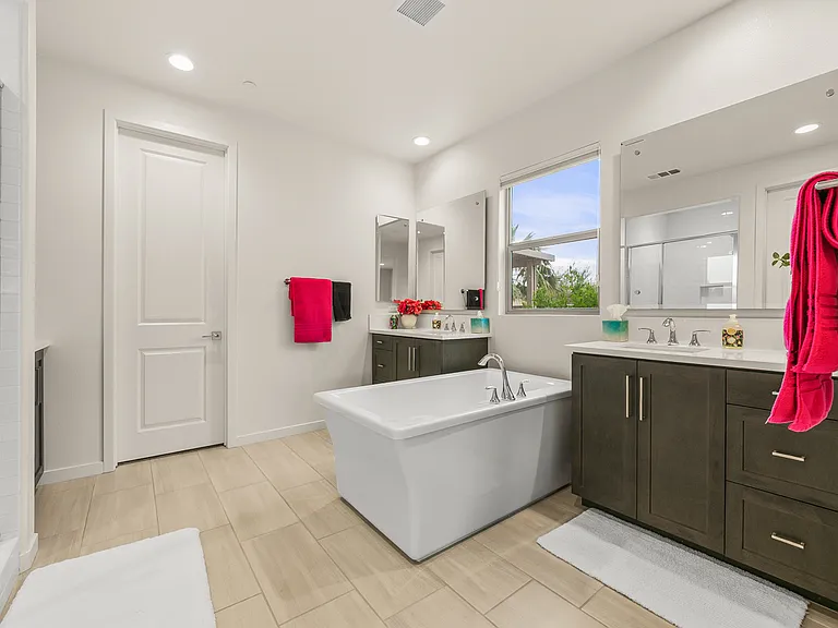 Master Suite Bathroom