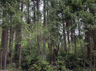 12216 Wapato Rd, Anderson Island, WA 98303