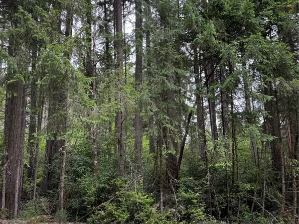 12216 Wapato Road, Anderson Island, WA 98303