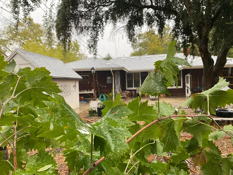 1312 Tulane Dr — Photo 11