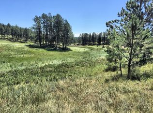 Lot 4 Wittrock, Custer, SD 57730