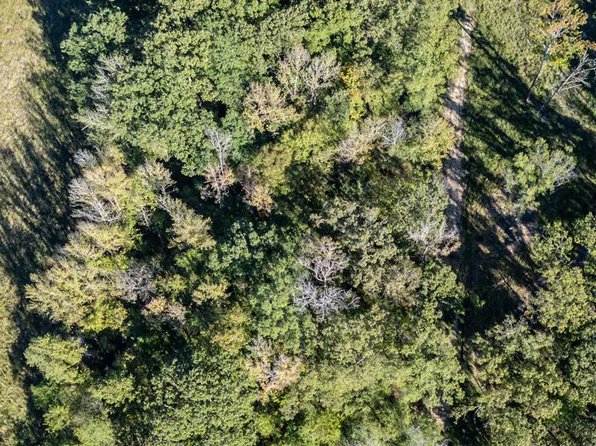 0 Victoria Rd, Byhalia, MS 38611
