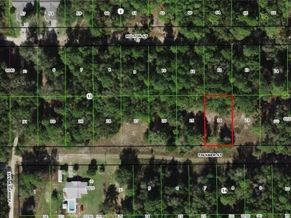 2110 Falkner St, Inverness, FL 34453