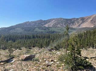 LOT 7 Beaver Run, Virginia Lakes, CA 93517