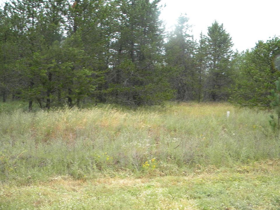 2nd image of Nka McDonald Creek