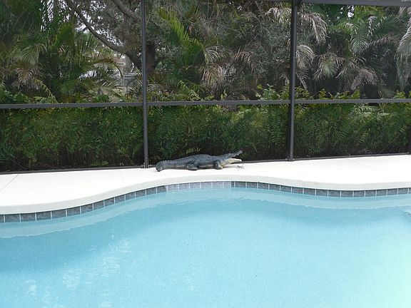 Pool area showing privacy