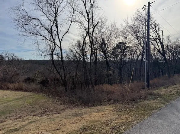 7 S Hills Loop #22, Eureka Springs, AR 72631