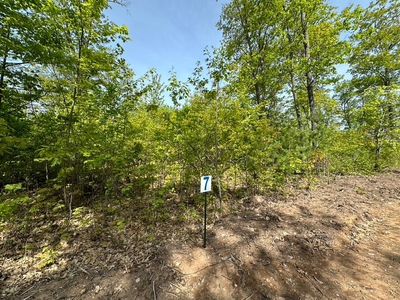 LOT 7 Cth B, Land O Lakes, WI, 54540