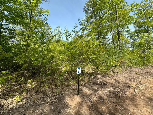LOT 7 Cth B, Land O Lakes, WI 54540