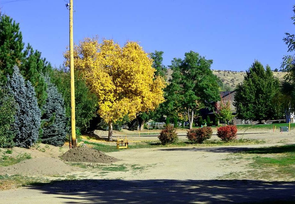 1st image of 6160 N Pierce Park Ln