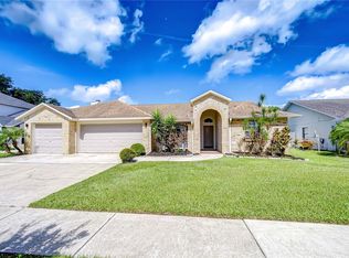 4211 Elba Pl, Valrico, FL 33596
