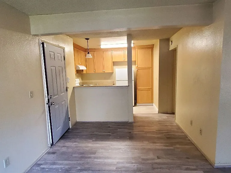 1333 N Camino Alto Rd #232 — Photo 6