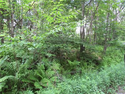 0 State Route 28, Old Forge, NY, 13420