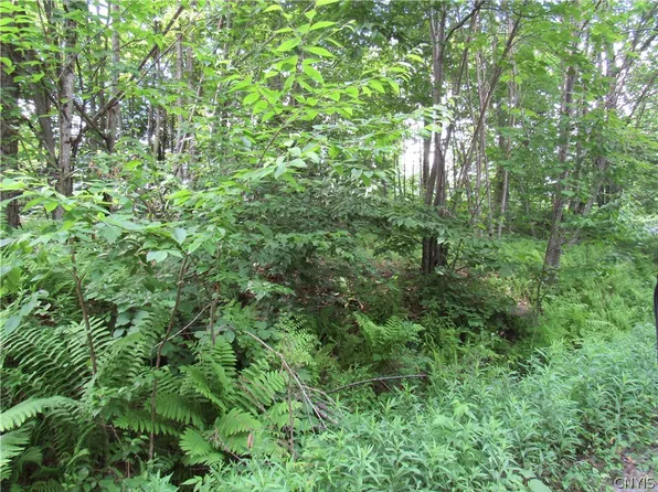 0 State Route 28, Old Forge, NY 13420