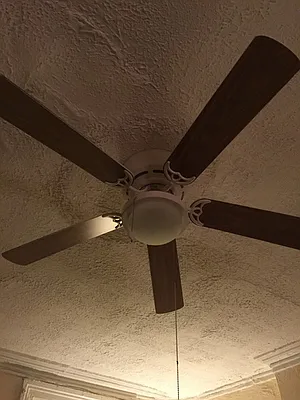 Rented by Picture Realty Inc. | media 16