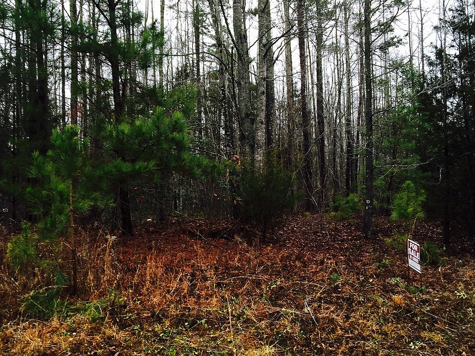 2nd image of Lassiter Lane