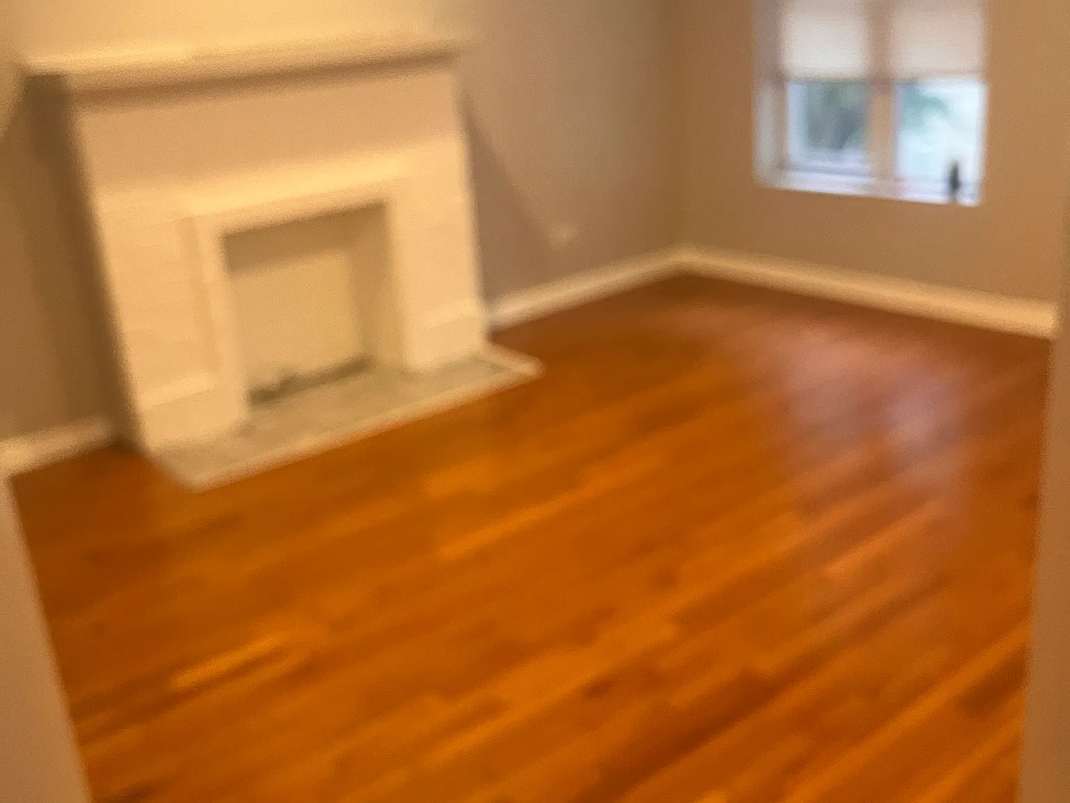 3 bed, 1000 sqft, $1,500 — Photo 4
