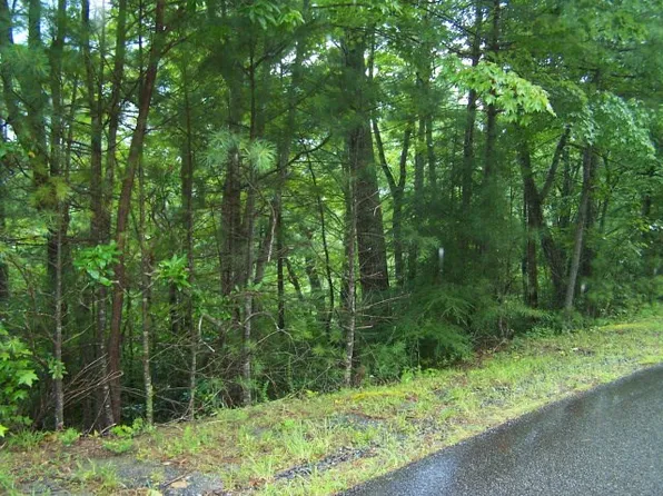2697 Goose Creek Rd, Marion, NC 28752