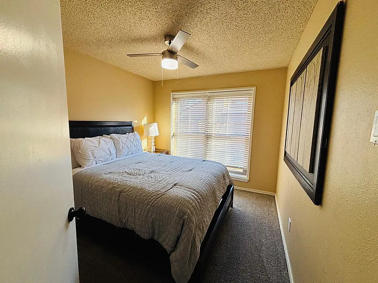 3315 Scarlet Oak Ct — Photo 22