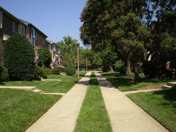 Court View 1