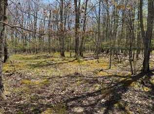 22 Hunters Ridge Rd, Snowshoe, WV 26209