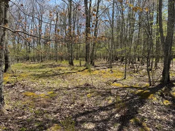 22 Hunters Ridge Rd, Snowshoe, WV 26209