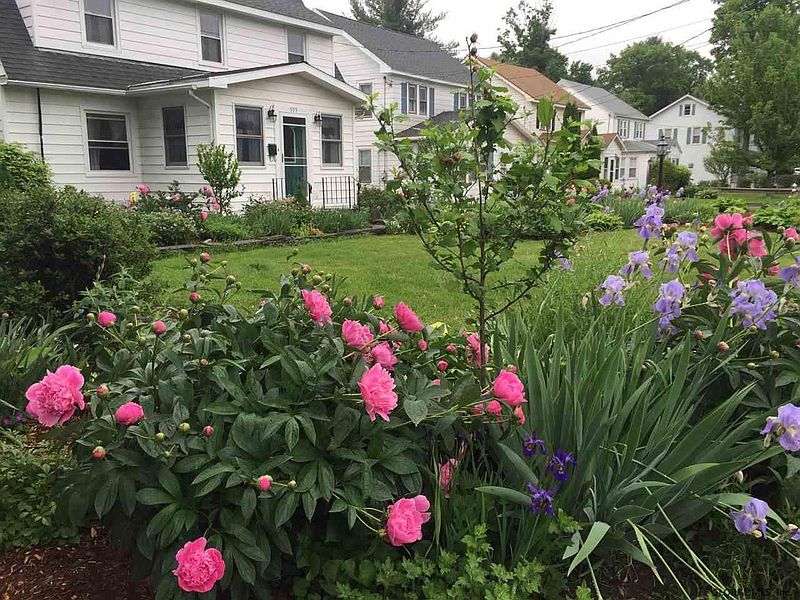 2nd image of 999 NEW SCOTLAND Avenue