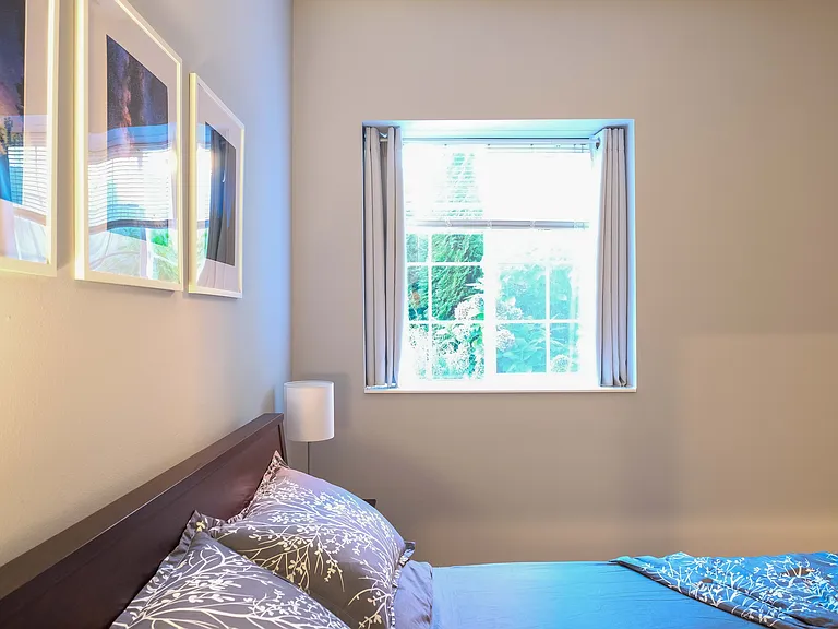 Bedroom full size window to quite back yard.