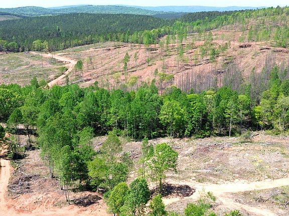 2nd image of Mines Rd #218 acres