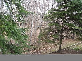 2nd image of 12084 Cardamom Dr