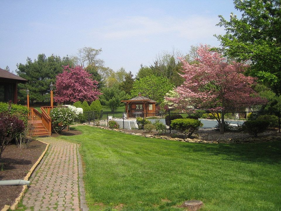 Yard view 