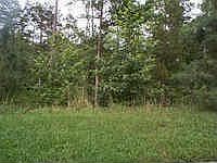 2nd image of 6919 Saint Marys Rd